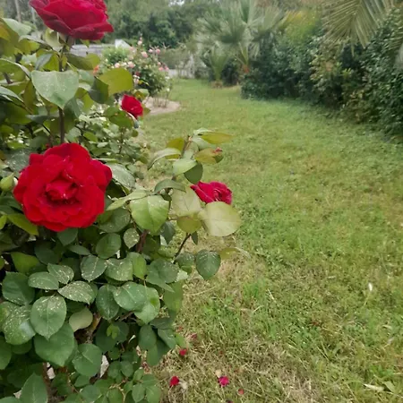 Holiday home Rodo *
